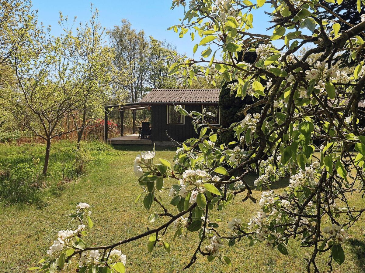 Holiday house 6 Personen Ferienhaus in Læsø-By Traum - Outdoor photo 3