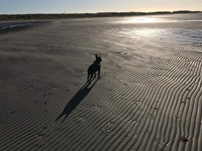 Holiday house 6 Personen Ferienhaus in Læsø-By Traum - Outdoor photo 26