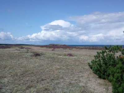 Holiday house 6 Personen Ferienhaus in Læsø-By Traum - Outdoor photo 31