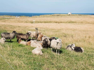 Holiday house 4 Personen Ferienhaus in Lemvig-By Traum - Outdoor photo 19