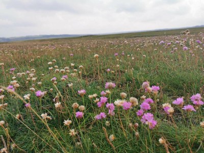 Holiday house 4 Personen Ferienhaus in Lemvig-By Traum - Outdoor photo 39