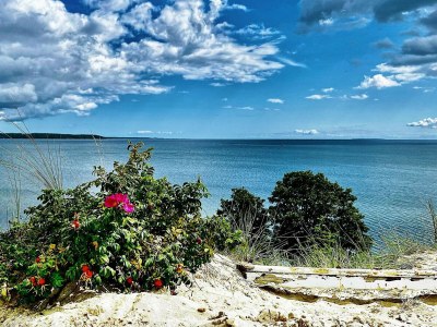 Holiday house 8 person holiday home in Børkop-By Traum - Outdoor photo 6