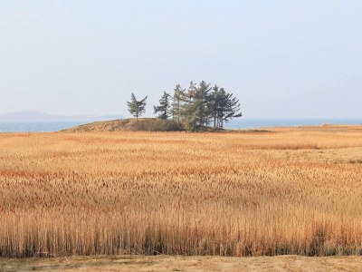 Holiday house Luxury Retreat with Spa - By Traum Ferienwohnungen - Outdoor photo 13