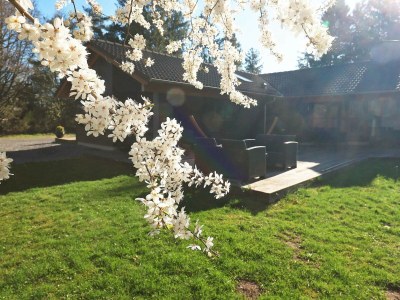 Holiday house 8 Personen Ferienhaus in Skals-By Traum - Outdoor photo 6