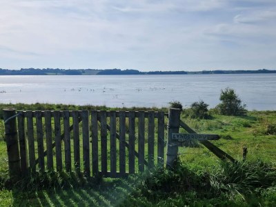 Holiday house 8 Personen Ferienhaus in Skals-By Traum - Outdoor photo 28