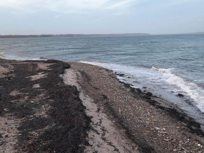 Holiday house Spacious Retreat by Limfjorden - By Traum Ferienwohnungen - Outdoor photo 24