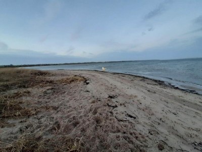 Holiday house Spacious Retreat by Limfjorden - By Traum Ferienwohnungen - Outdoor photo 45