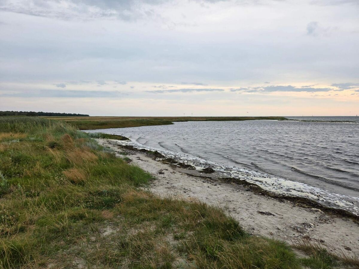 Holiday house 10 person holiday home in Hadsund-By Traum - Outdoor photo 4