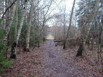Holiday house 10 person holiday home in Græsted-By Traum - Outdoor photo 9