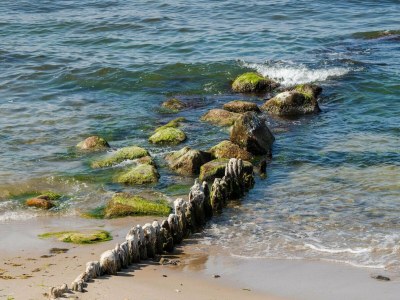 Holiday house 10 person holiday home in Græsted-By Traum - Outdoor photo 11