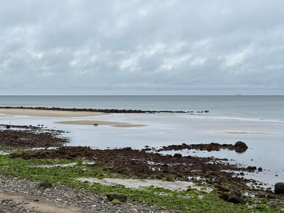 Holiday house 10 person holiday home in Græsted-By Traum - Outdoor photo 23