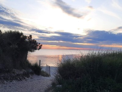 Holiday house 10 person holiday home in Græsted-By Traum - Outdoor photo 26