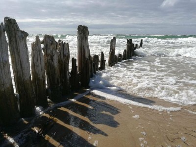 Holiday house 10 person holiday home in Græsted-By Traum - Outdoor photo 33
