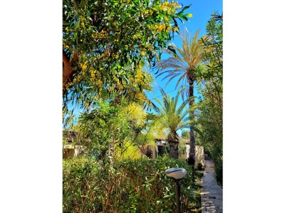 Bungalow La Perla di Sicilia - Outdoor photo 21