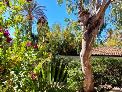 Bungalow La Perla di Sicilia - Outdoor photo 22