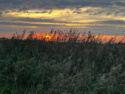 Holiday house 10 person holiday home in Ebeltoft-By Traum - Outdoor photo 24