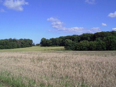 Holiday house 4 Personen Ferienhaus in Gudhjem-By Traum - Outdoor photo 22