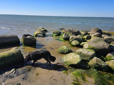Holiday house Familienspab am Meer -- By Traum Ferienwohnungen - Outdoor photo 12