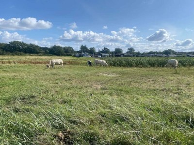 Holiday house Familienspab am Meer -- By Traum Ferienwohnungen - Outdoor photo 19