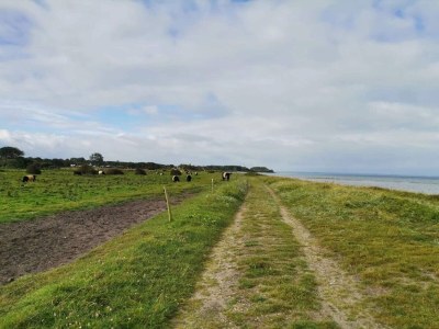 Holiday house Familienspab am Meer -- By Traum Ferienwohnungen - Outdoor photo 31