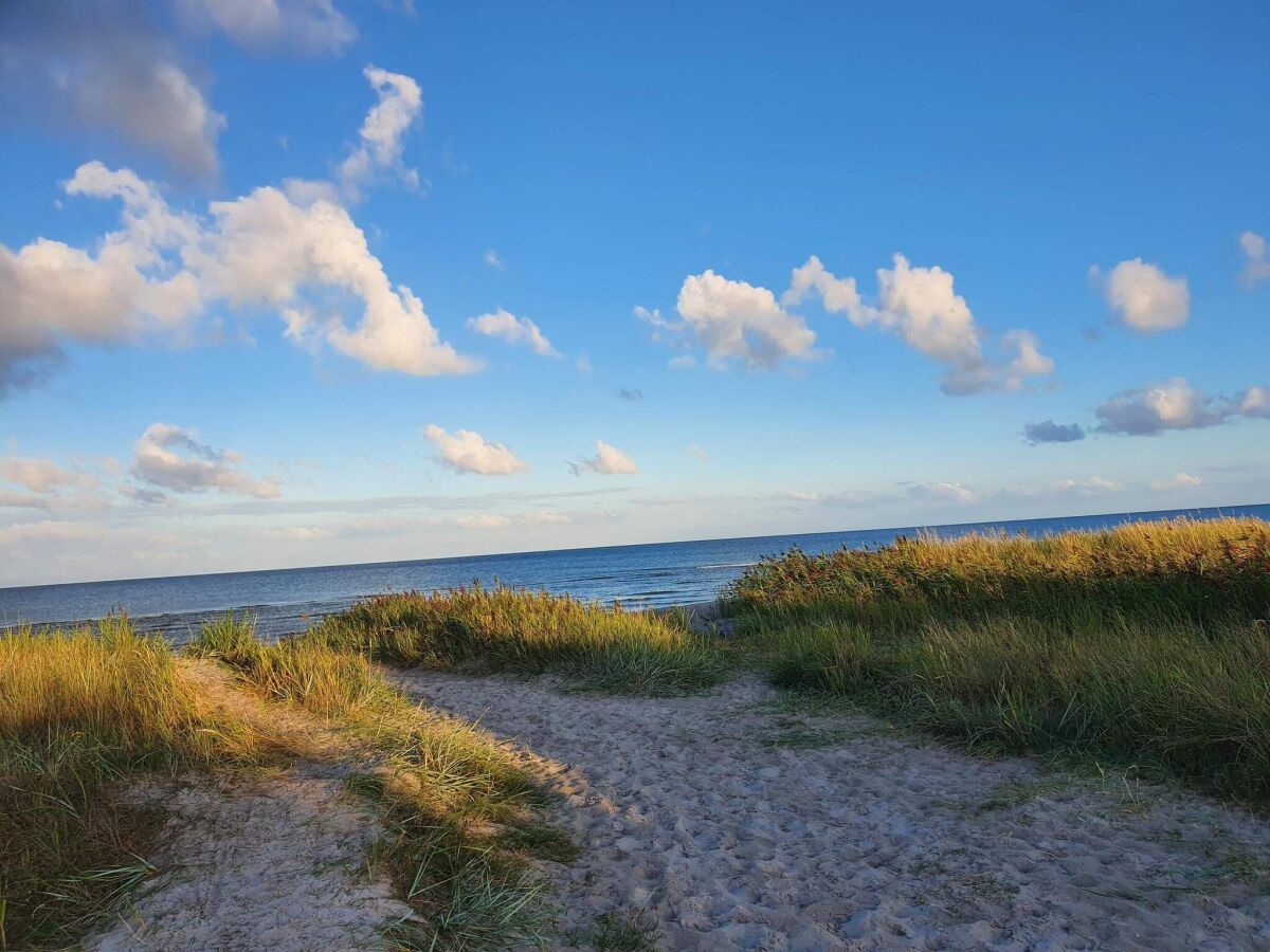 Holiday house 4 person holiday home in Hals-By Traum - Outdoor photo 4