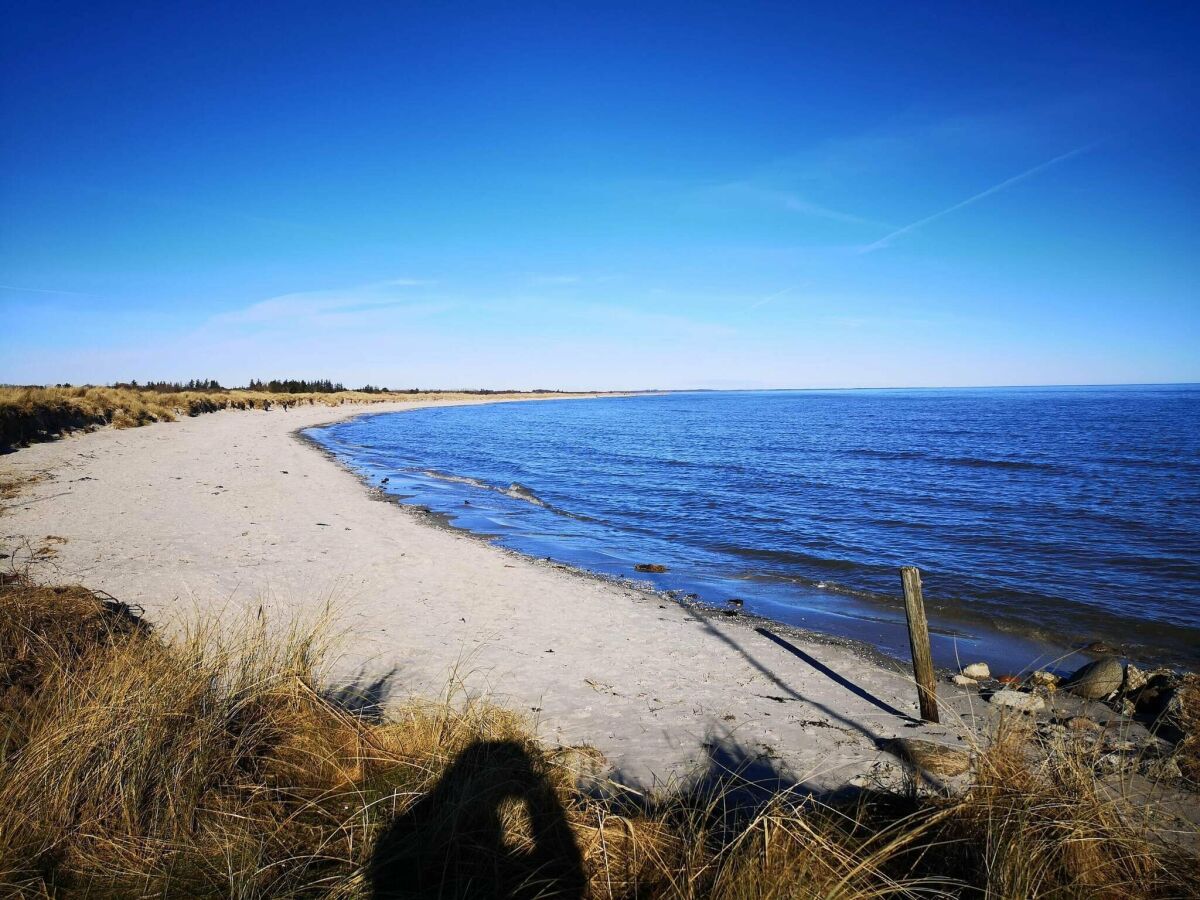 Holiday house 4 person holiday home in Hals-By Traum - Outdoor photo 5