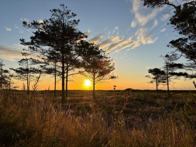 Holiday house 4 person holiday home in Hals-By Traum - Outdoor photo 16