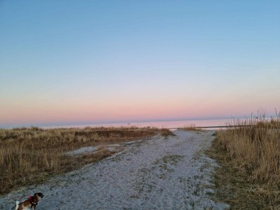 Holiday house 4 person holiday home in Hals-By Traum - Outdoor photo 19