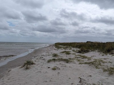 Holiday house 4 person holiday home in Hals-By Traum - Outdoor photo 28