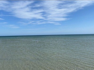 Holiday house 4 person holiday home in Hals-By Traum - Outdoor photo 36