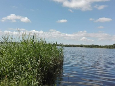 Holiday house 6 person holiday home in Ansager-By Traum - Outdoor photo 34