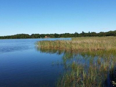 Holiday house 6 person holiday home in Ansager-By Traum - Outdoor photo 43