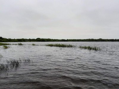 Holiday house 6 person holiday home in Ansager-By Traum - Outdoor photo 46