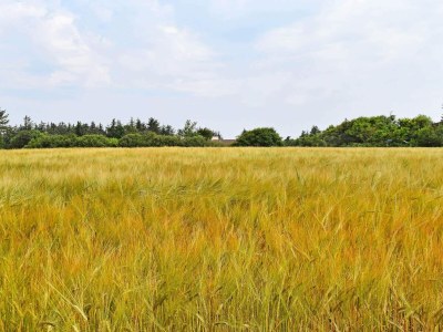 Holiday house Modern Retreat by Fjord - By Traum Ferienwohnungen - Outdoor photo 27