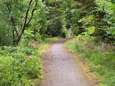 Holiday house Modern Retreat by Fjord - By Traum Ferienwohnungen - Outdoor photo 32