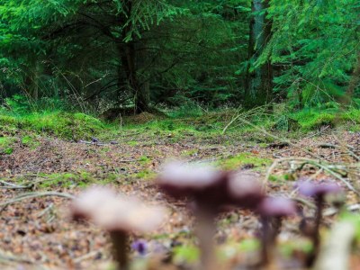 Holiday house 4 person holiday home in Hovborg-By Traum - Outdoor photo 14