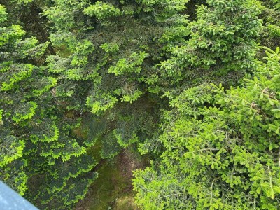 Holiday house 4 person holiday home in Hovborg-By Traum - Outdoor photo 20