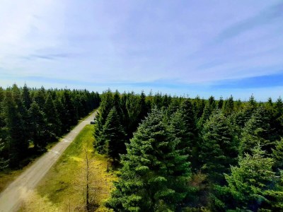 Holiday house 4 person holiday home in Hovborg-By Traum - Outdoor photo 24