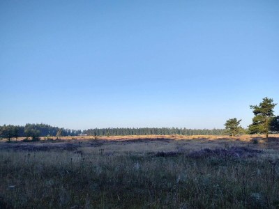 Holiday house 4 person holiday home in Hovborg-By Traum - Outdoor photo 25