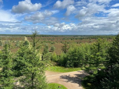 Holiday house 4 person holiday home in Hovborg-By Traum - Outdoor photo 28