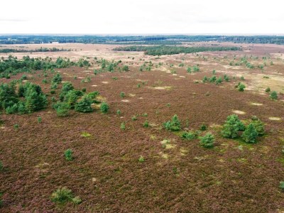 Holiday house 4 person holiday home in Hovborg-By Traum - Outdoor photo 29