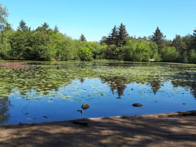 Holiday house 10 person holiday home in Bindslev-By Traum - Outdoor photo 18