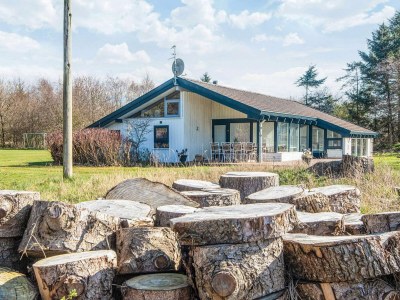 Holiday house 10 person holiday home in Bindslev-By Traum - Outdoor photo 33