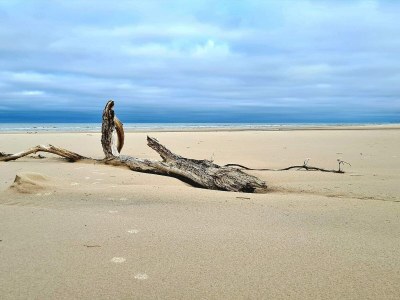 Holiday house 10 person holiday home in Bindslev-By Traum - Outdoor photo 46