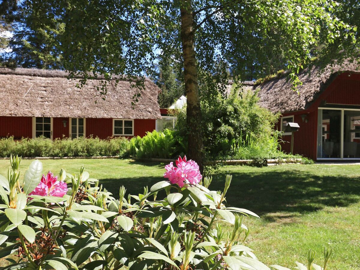 Holiday house Renoviertes Ferienhaus mit Spa -- By Traum Ferienwohnungen - Outdoor photo 2