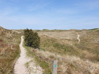 Holiday house Seaside Haven Retreat - By Traum Ferienwohnungen - Outdoor photo 26