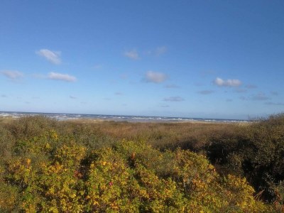 Holiday house Seaside Haven Retreat - By Traum Ferienwohnungen - Outdoor photo 27