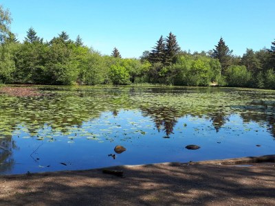 Holiday house Seaside Haven Retreat - By Traum Ferienwohnungen - Outdoor photo 31
