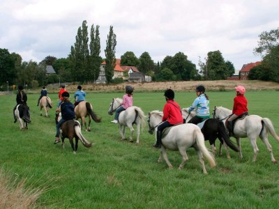 Holiday house 6 person holiday home in GROEMITZ - Outdoor photo 23