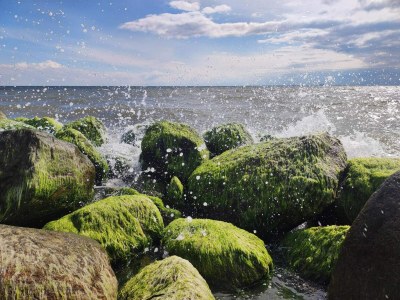Holiday house Tranquil Haven near Beach - By Traum Ferienwohnungen - Outdoor photo 5